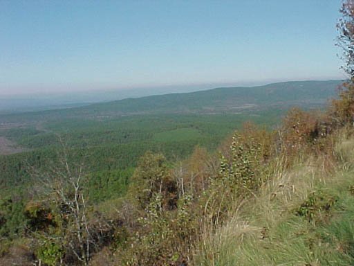 MVC-007F